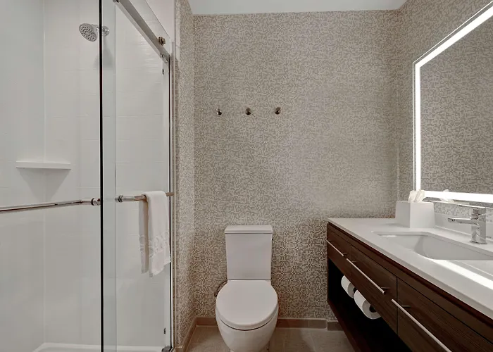 Home2 By Hilton Chicago 3*
